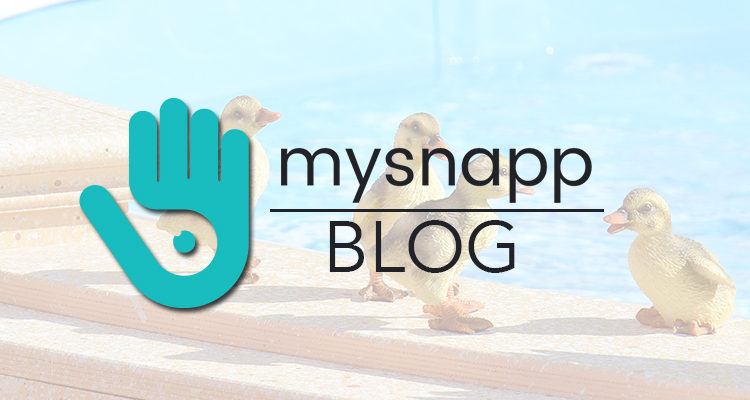 Day 23: Take A Closer Look At The Big Brother House With mysnapp – Animals